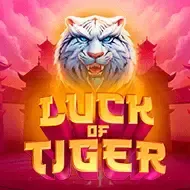 Luck of TigerNetgame